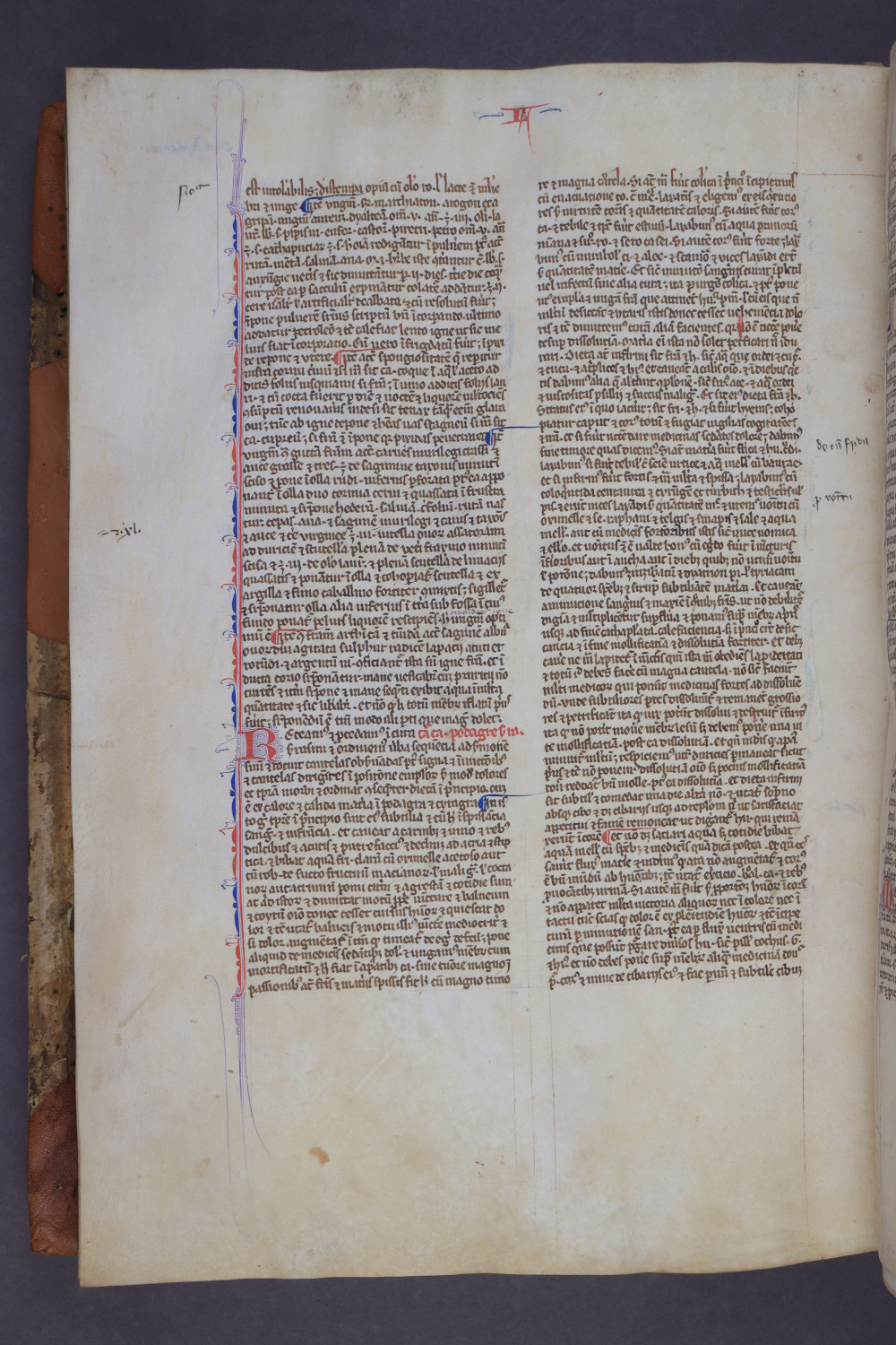 Folio 146 verso